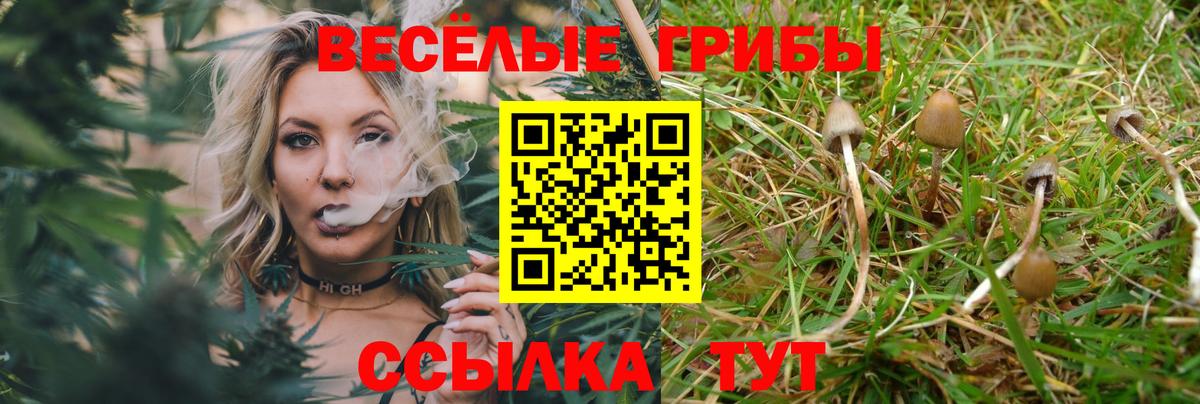 Ржев  Псилоцибиновые грибы Magic Shrooms  Галлюциногенные грибы ЛСД  Вход с VPN 